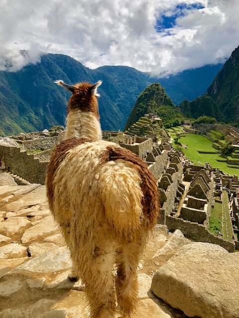 Machu Picchu