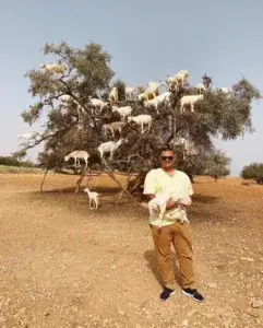 No caminho para Essaouira no Marrocos