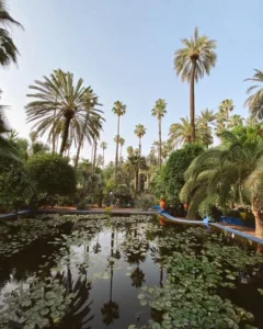 Le Jardin de Majorelle em Marrakech