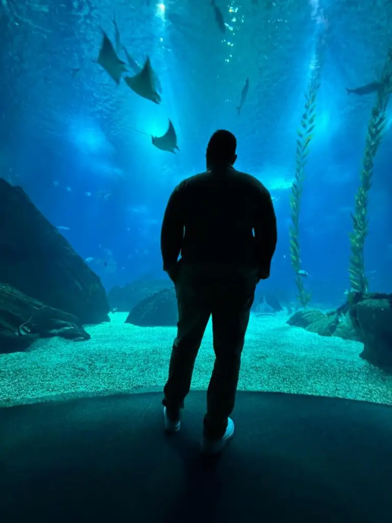 Oceanário de Lisboa
