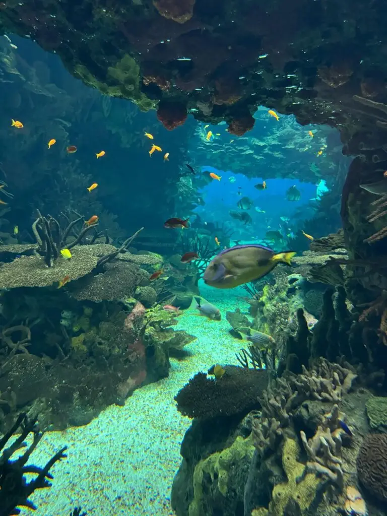 Oceanário de Lisboa