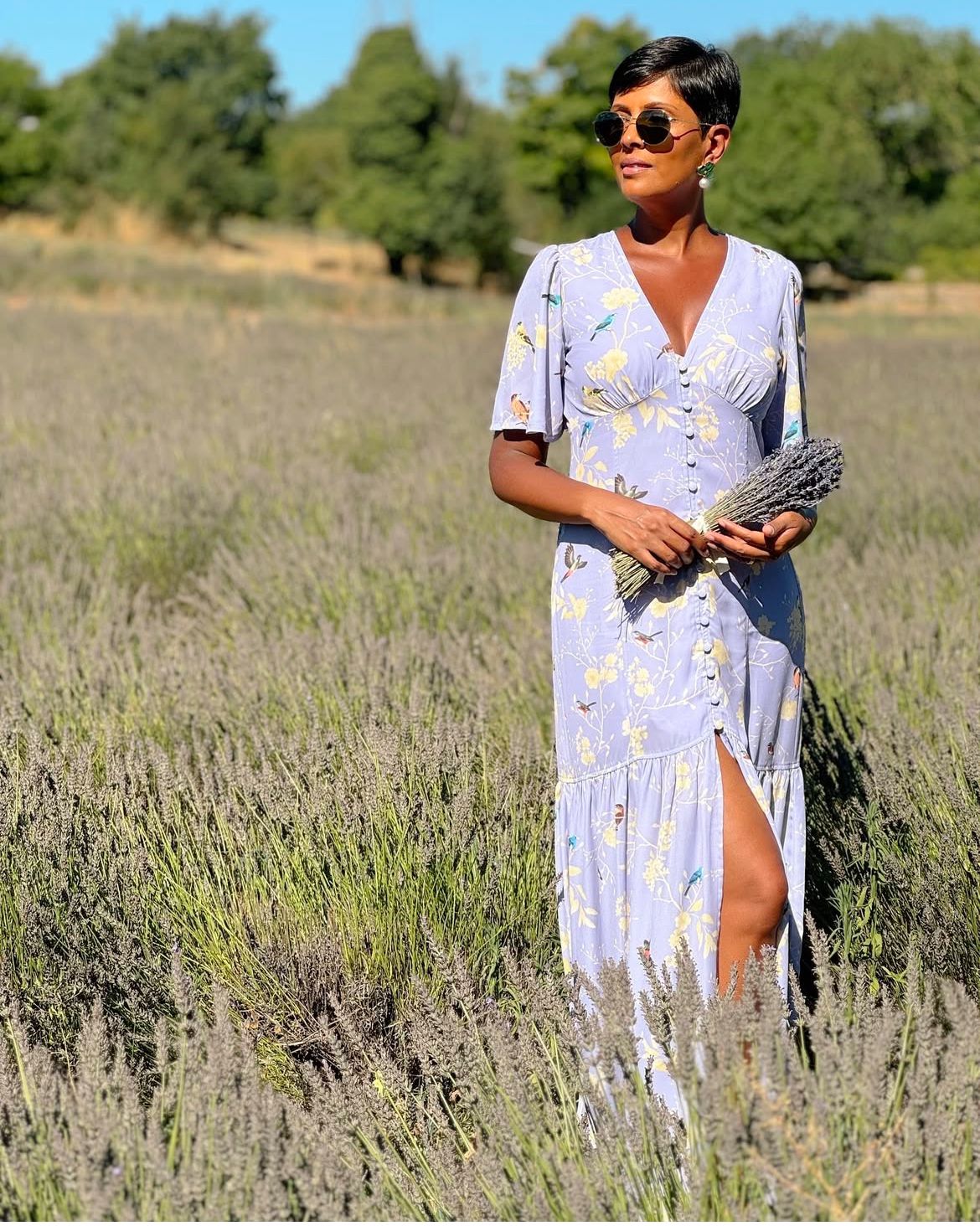 Campos de Lavanda na Provence