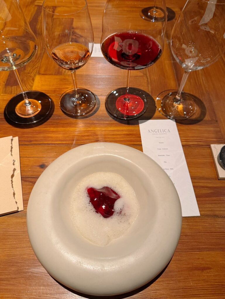 Angélica Cocina Maestra